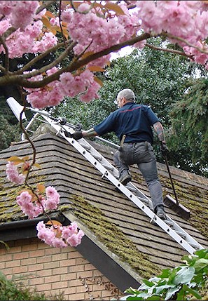 Our staff cleaning the moss from a roof in Woking